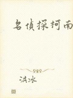 名侦探柯南h