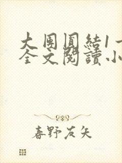 大团圆结1一6全文阅读小说