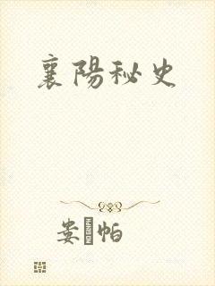 襄阳秘史封面