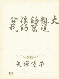 公狼的粗大挺进我的密道