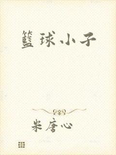 篮球小子封面