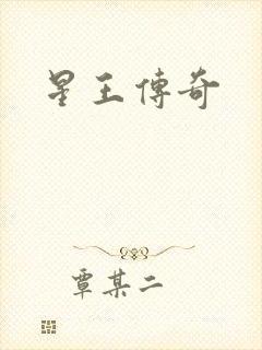 星王传奇封面