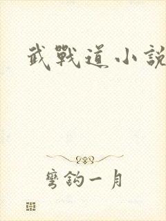 武战道小说