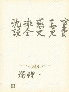沈微燕王穿越小说全文免费阅读