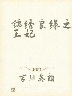 锦绣良缘之北地王妃