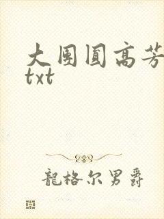 大团圆高芳小说txt封面