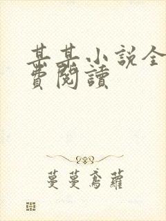 某某小说全文免费阅读