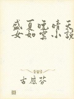 盛夏晚晴天之美女如云小说封面
