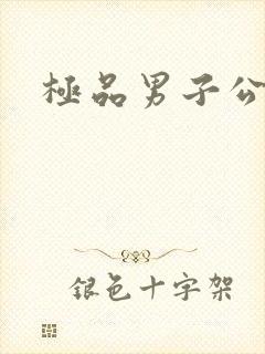 极品男子公寓封面