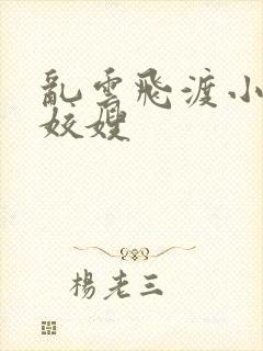 乱云飞渡小说之姣嫂封面