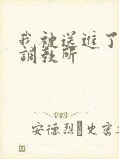 我被送进了私奴调教所