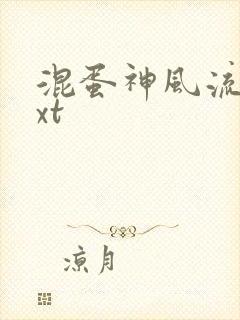 混蛋神风流史txt