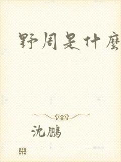 野周是什么意思