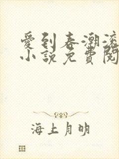 爱到春潮滚滚来小说免费阅读封面