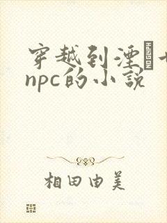 穿越到湮婸世界npc的小说