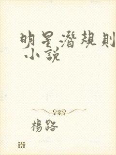 明星潜规则之皇 小说