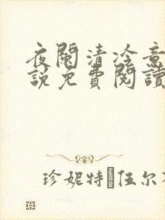 夜阑清冷意欢小说免费阅读
