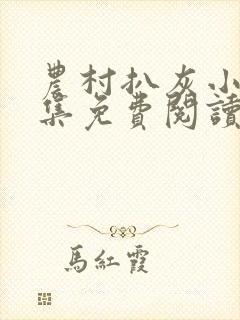 农村扒灰小说全集免费阅读封面