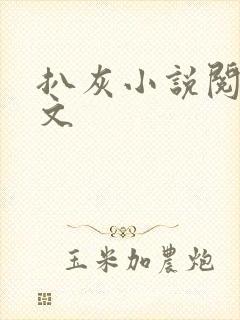 扒灰小说阅读全文