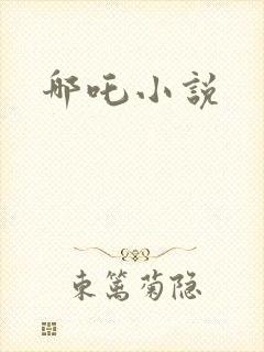 哪吒小说封面