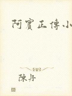 阿宾正传小说