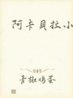 阿卡贝拉小说封面