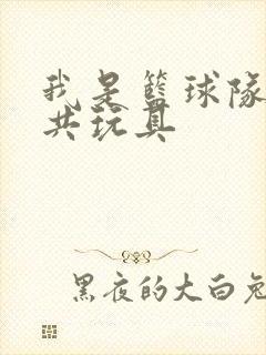 我是篮球队的公共玩具封面