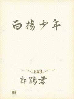 白杨少年