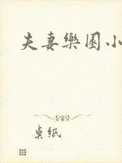 夫妻乐园小说