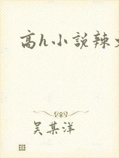 高h小说辣文