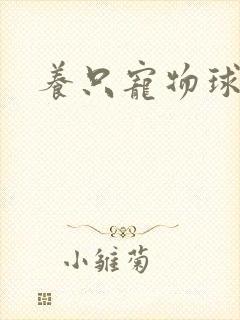 养只宠物球