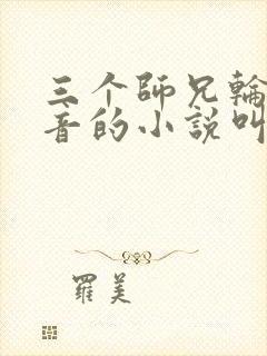 三个师兄轮流上音的小说叫什么封面
