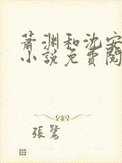 萧渊和沈安安的小说免费阅读