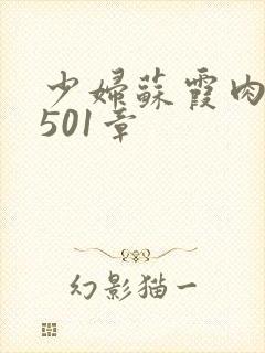 少妇苏霞肉欲第501章