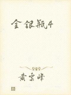 金银瓶4封面