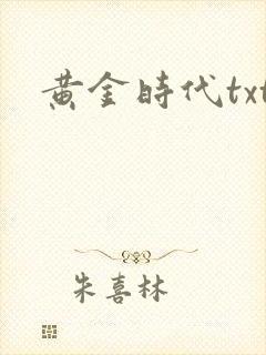 黄金时代txt封面