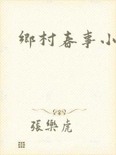 乡村春事小说封面