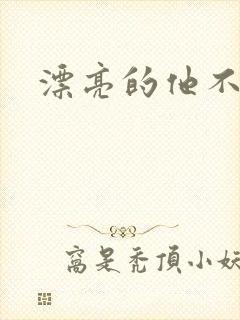 漂亮的他不说话封面