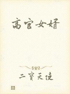 高官女婿