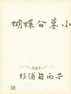 蝴蝶公墓小说封面
