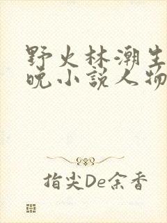 野火林潮生林晚晚小说人物野火