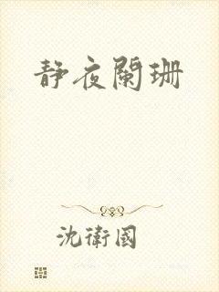 静夜阑珊封面
