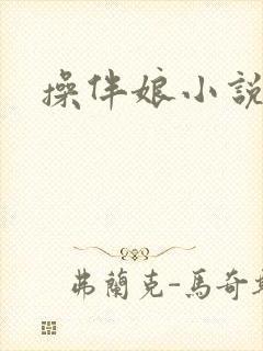 操伴娘小说封面