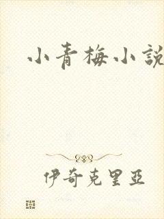 小青梅小说封面