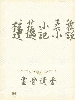 校花小柔舞蹈室遭遇记小说