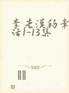 李老汉的幸福生活1-13集