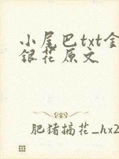小尾巴txt金银花原文封面
