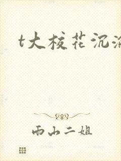 t大校花沉沦封面