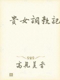 贵女调教记