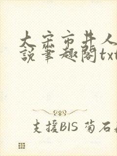 大宋市井人家小说笔趣阁txt